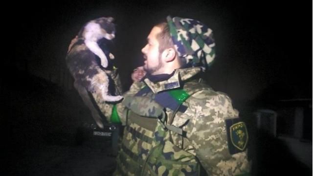 Волонтери рятують тварин із зони АТО Волонтери рятують тварин із зони АТО