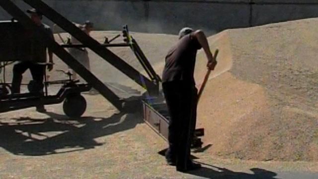 Державна продовольчо-зернова корпорація розтратила 100 мільйонів доларів Державна продовольчо-зернова корпорація розтратила 100 мільйонів доларів