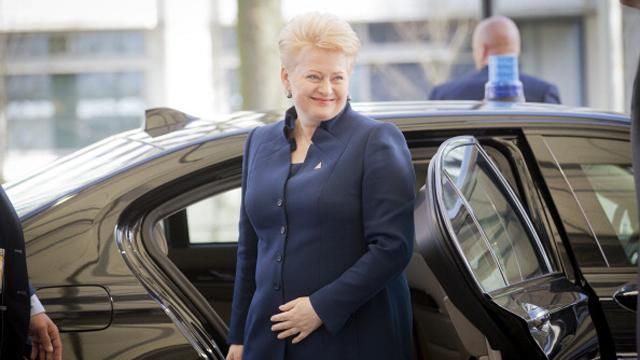 Росія здійснює територіальну агресію, — Грібаускайте Росія здійснює територіальну агресію, — Грібаускайте