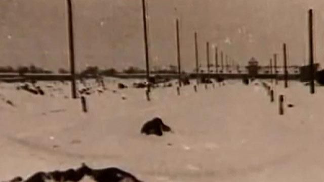 День в історії. День пам'яті жертв Голокосту День в історії. День пам'яті жертв Голокосту