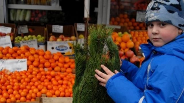 Українці не можуть дозволити собі цитрусові: ціни з минулого року зросли майже на 80%