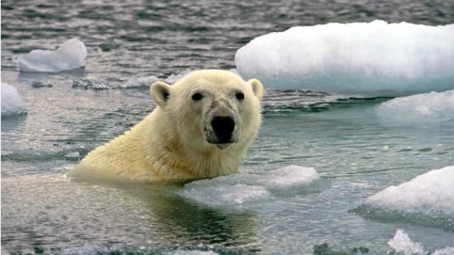 2014 год побил температурный рекорд 2014 год побил температурный рекорд