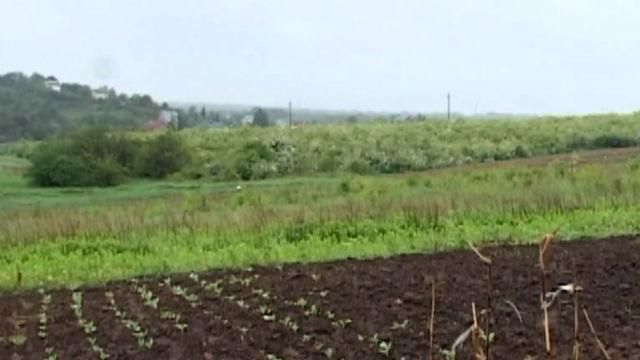 Реформування у земельній сфері відбудеться не скоро, — експерт Реформування у земельній сфері відбудеться не скоро, — експерт