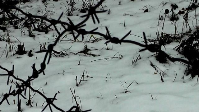 На Житомирщині колишнє військове містечко фактично відрізали від цивілізації На Житомирщині колишнє військове містечко фактично відрізали від цивілізації