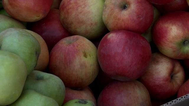 В Україні зростає пропозиція імпортного яблука