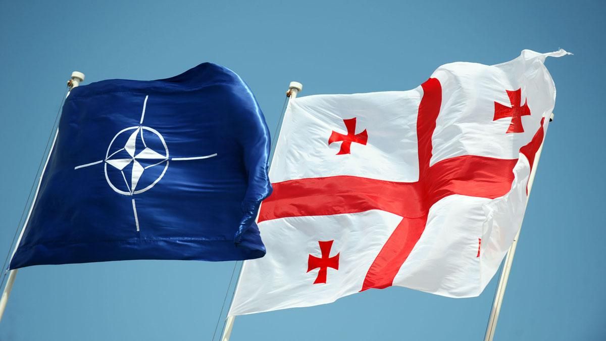 НАТО откроет в Грузии тренировочный центр НАТО откроет в Грузии тренировочный центр