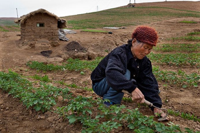 Северная Корея изнутри (Фото 18+) Северная Корея изнутри (Фото 18+)