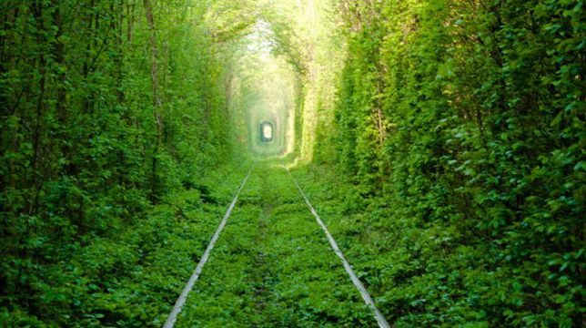 У лютому в Токіо презентують фільм, який японці знімали на Рівненщині У лютому в Токіо презентують фільм, який японці знімали на Рівненщині