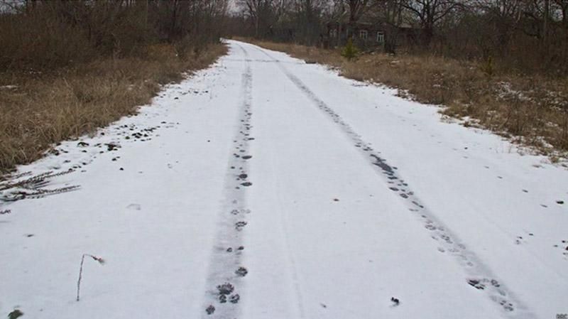 Поки Донбас перетворюється у руїну: Чорнобиль у меланхолійній самотності Поки Донбас перетворюється у руїну: Чорнобиль у меланхолійній самотності