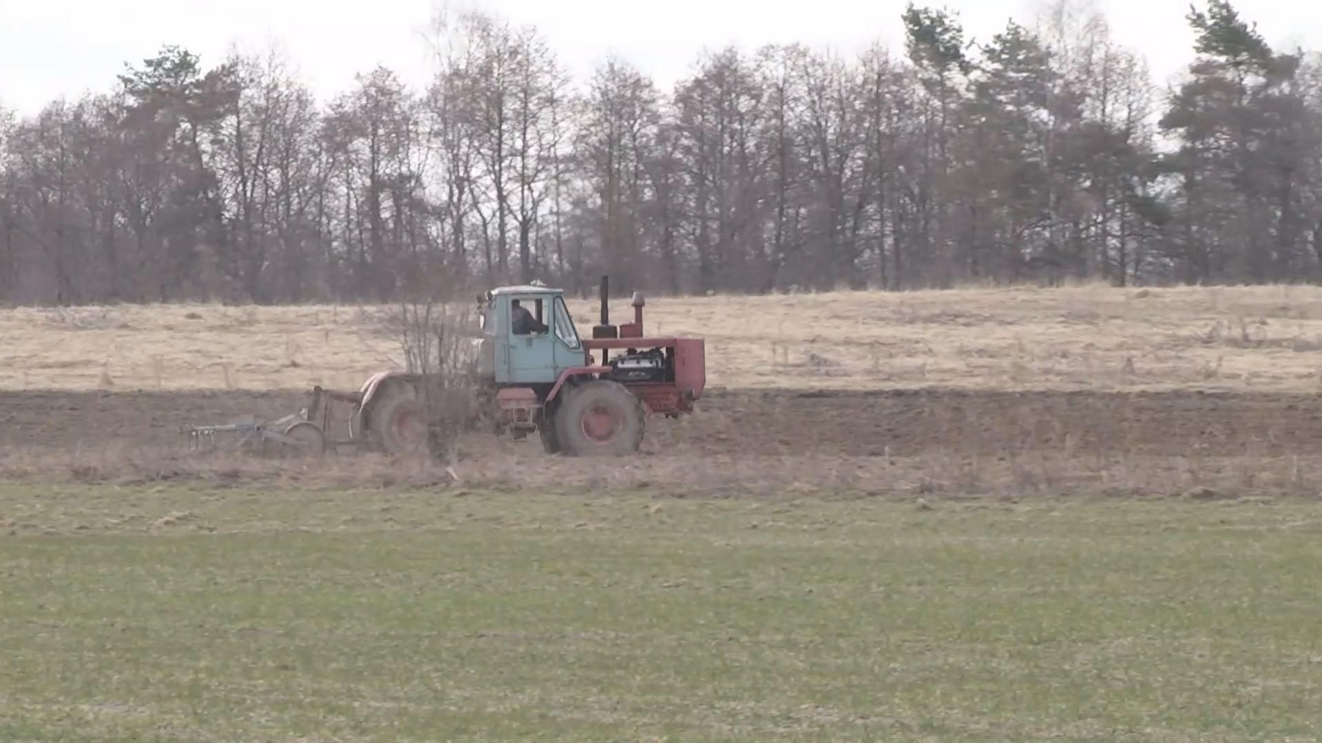 В Україні поменшає посівних площ