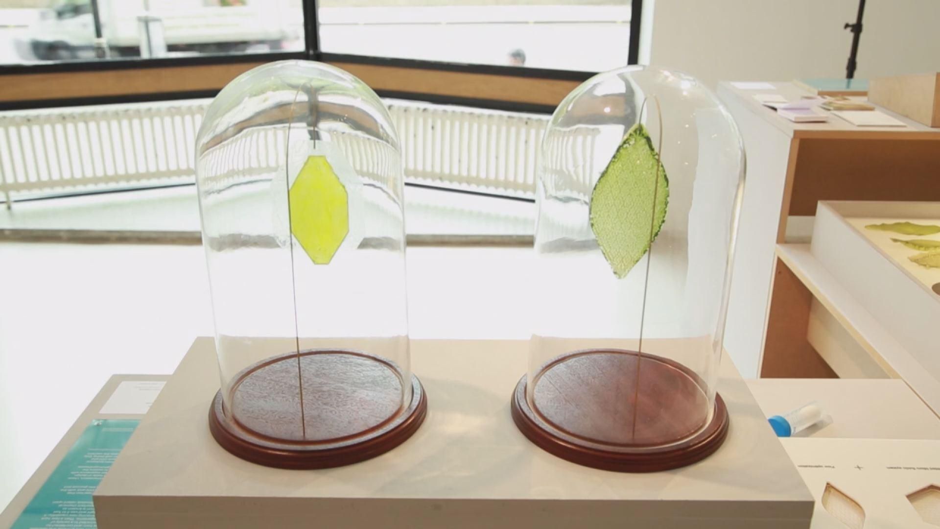 Инновации. Создан "умный" чехол для матраса, изобретены искусственные листья
