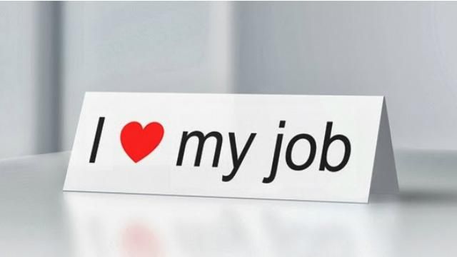 Украинцы любят своих коллег, — исследование Украинцы любят своих коллег, — исследование