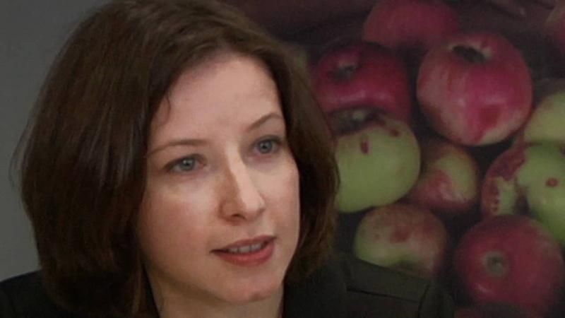 Прекращение огня — это прекращение огня, — Еврокомиссия Прекращение огня — это прекращение огня, — Еврокомиссия