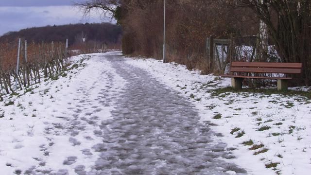 В Украине потеплеет до плюс 15 градусов В Украине потеплеет до плюс 15 градусов