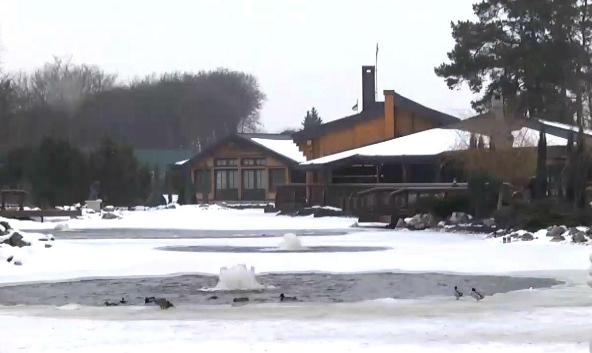 Межигір'я рік по тому Межигір'я рік по тому