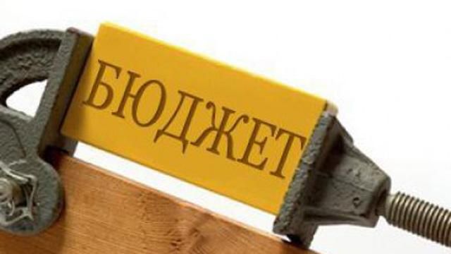 Депутаты "Самопомочи" озвучили ряд замечаний к проекту изменений в бюджет-2015