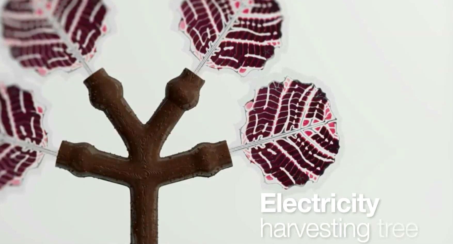 Дерево, которое позволит зарядить смартфон Дерево, которое позволит зарядить смартфон