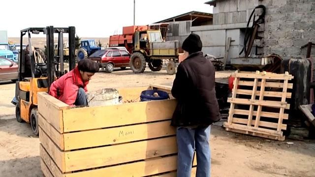 Канада надасть Україні гроші на розвиток плодоовочевої галузі Канада надасть Україні гроші на розвиток плодоовочевої галузі