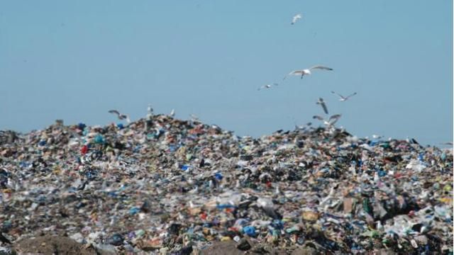 За год на помойку люди выбросили пищи на 400 миллиардов долларов За год на помойку люди выбросили пищи на 400 миллиардов долларов