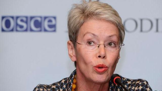 Представители ОБСЕ впервые расскажут в Совбезе ООН о Донбассе