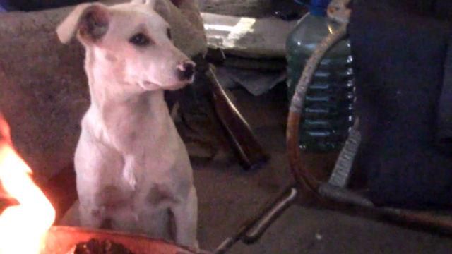 Будні у Пісках під час перемир'я проходять з користю Будні у Пісках під час перемир'я проходять з користю