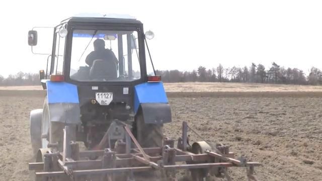 У травні вартість хліба може зрости до 10 гривень, — експерти У травні вартість хліба може зрости до 10 гривень, — експерти