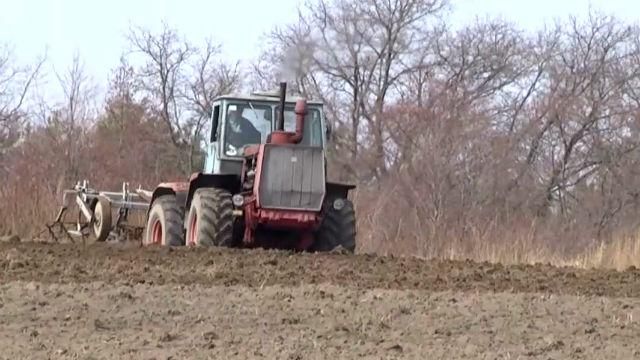 Аграрии будут вынуждены сократить посевные площади