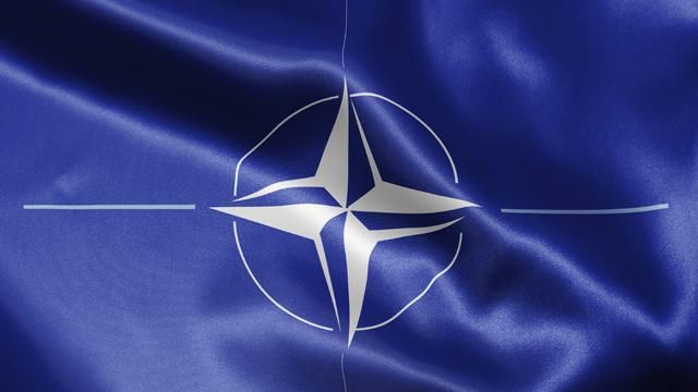 В НАТО назревает раскол из-за оценки конфликта на Донбассе