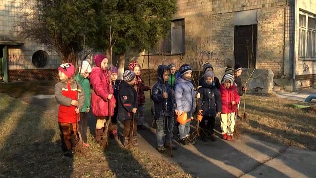 У Києві в одному з дитсадків висадили дерева