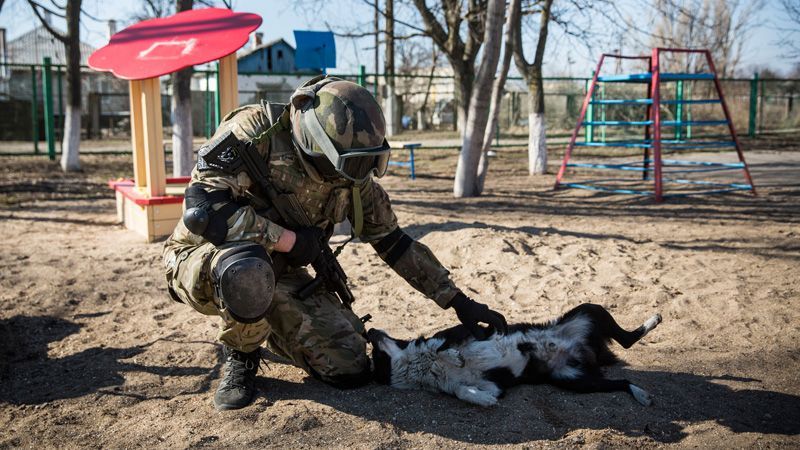 Більше 9 тисяч військових вже отримали статус учасника бойових дій, — Генштаб