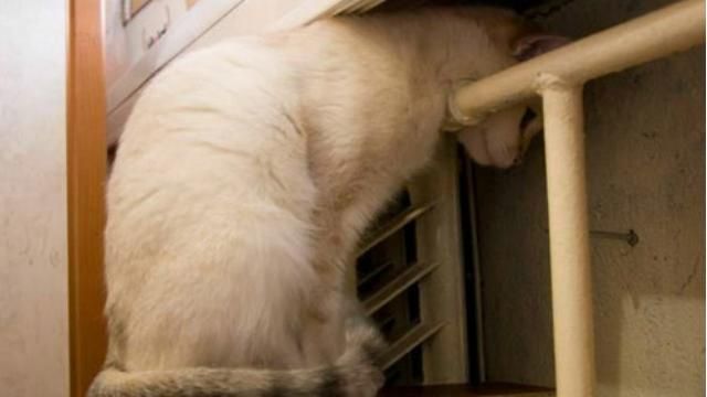 Опалення відключать до 15 квітня у деяких областях Опалення відключать до 15 квітня у деяких областях