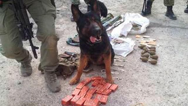 В Артемовске нашли оружие и взрывчатку террористов В Артемовске нашли оружие и взрывчатку террористов