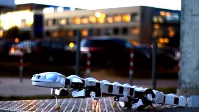 Інновації. Робот-саламандра, лазерна проекційна мишка, благодійник Роберт Дауні