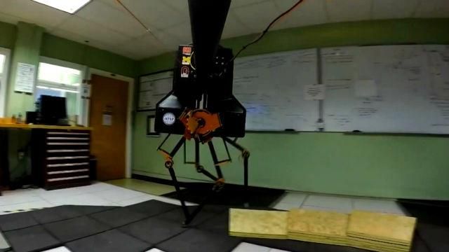 Ученые разработали устойчивого и очень быстрого двуногого робота Ученые разработали устойчивого и очень быстрого двуногого робота