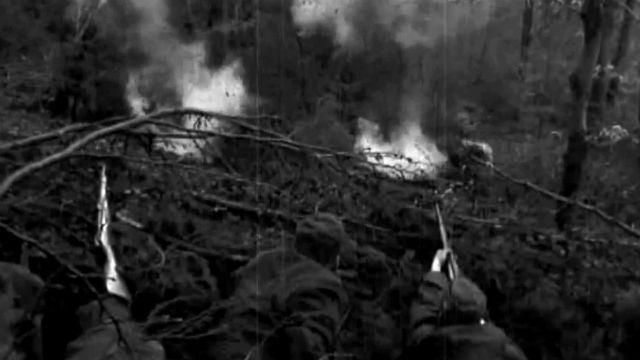 День в истории. Во Львове возникло военное общество "Сечевые Стрельцы" День в истории. Во Львове возникло военное общество "Сечевые Стрельцы"