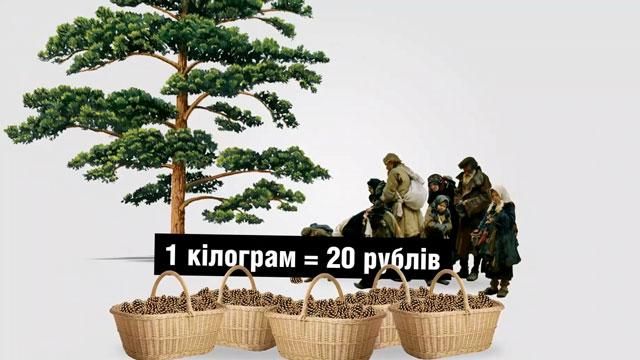 Росіянам порадили боротись з кризою шишками