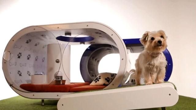 Инновации. Анонс Windows 10, "умный" электровелосипед, технологичная собачья будка Инновации. Анонс Windows 10, "умный" электровелосипед, технологичная собачья будка