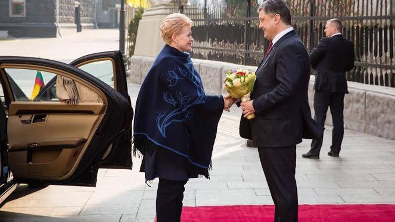 Литва продовжить надавати Україні всебічну підтримку, — Грібаускайте Литва продовжить надавати Україні всебічну підтримку, — Грібаускайте