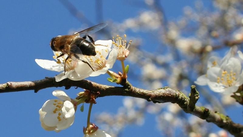 В Україну йде потепління, на Заході до +15 В Україну йде потепління, на Заході до +15
