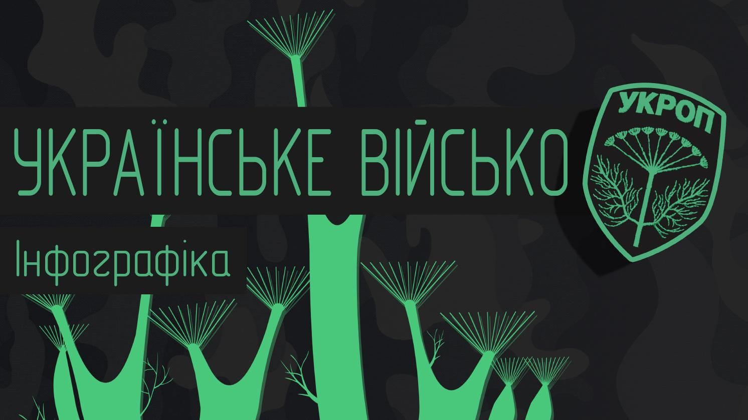 "Укропське військо": структура української армії в інфографіці