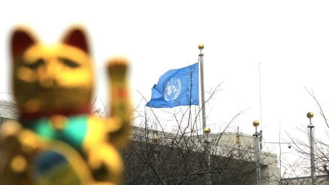 "Коти удачі" мітингували під стінами ООН на підтримку України