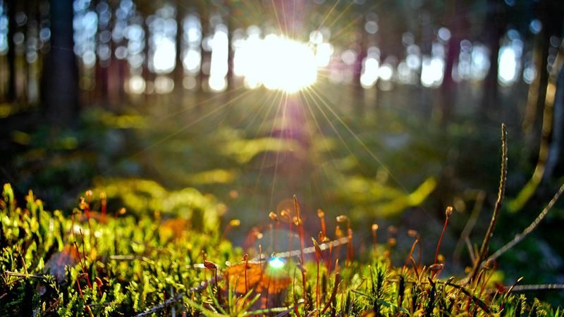 Сьогодні в Україні до +22 Сьогодні в Україні до +22