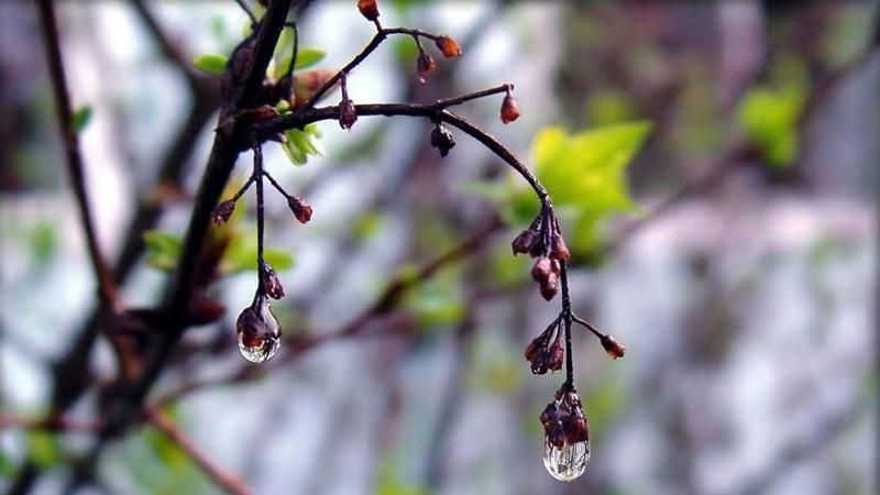 Сьогодні в Україні до +22, місцями дощі Сьогодні в Україні до +22, місцями дощі