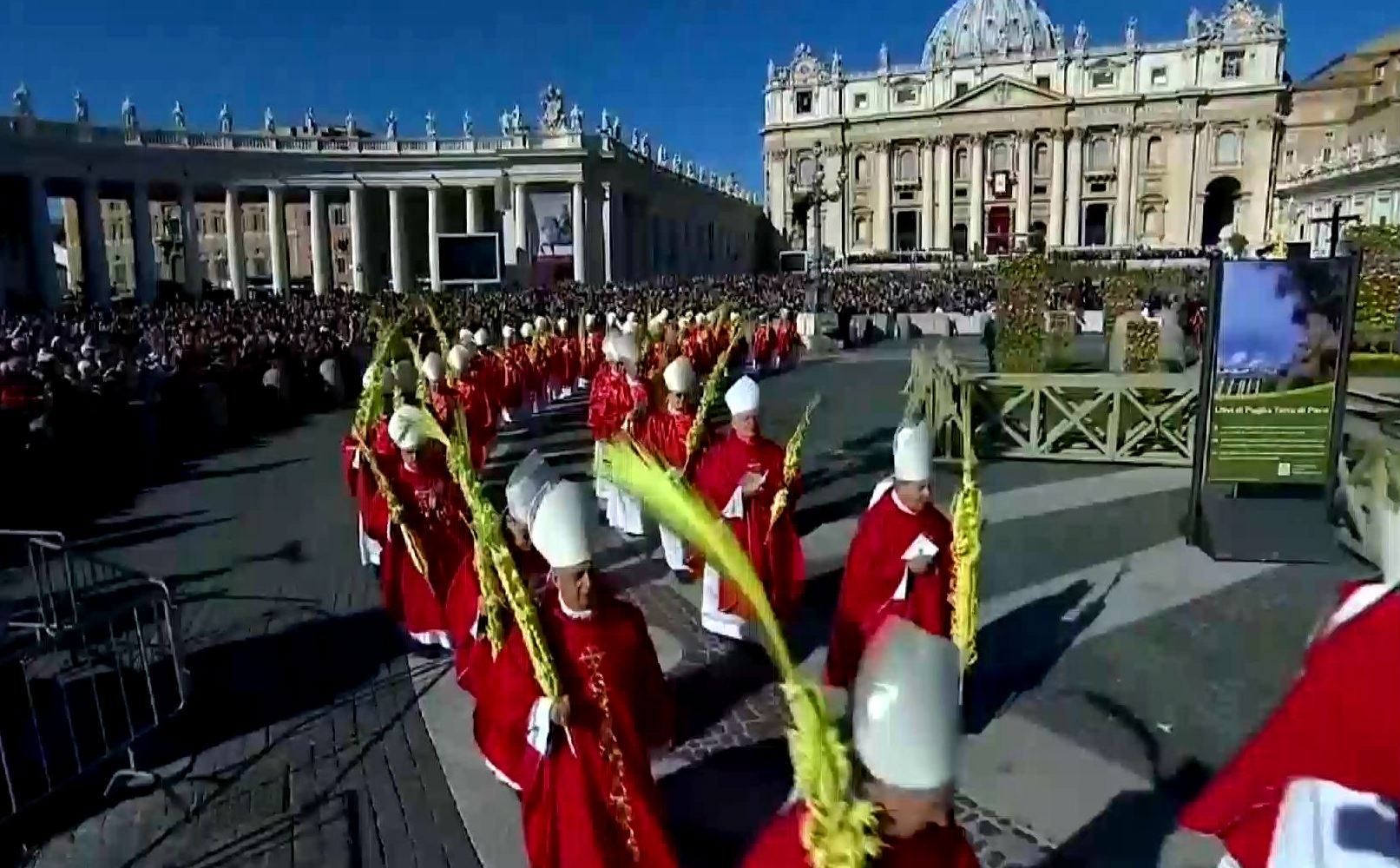 Католики всього світу відзначають пальмову неділю Католики всього світу відзначають пальмову неділю