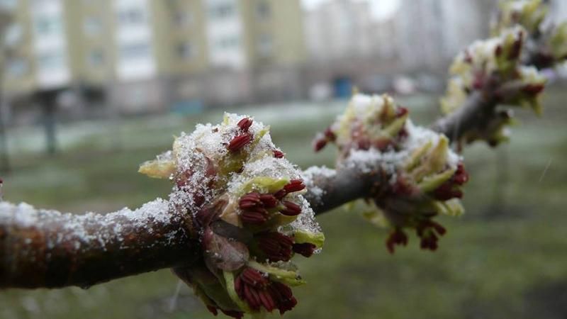 Україну засипало снігом