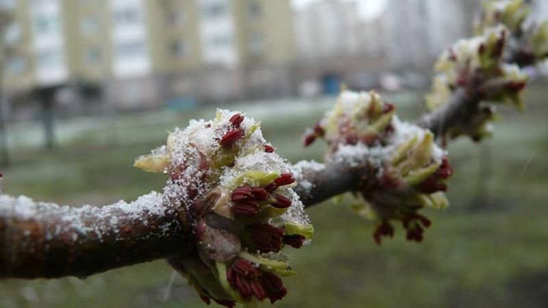 Украину засыпало снегом