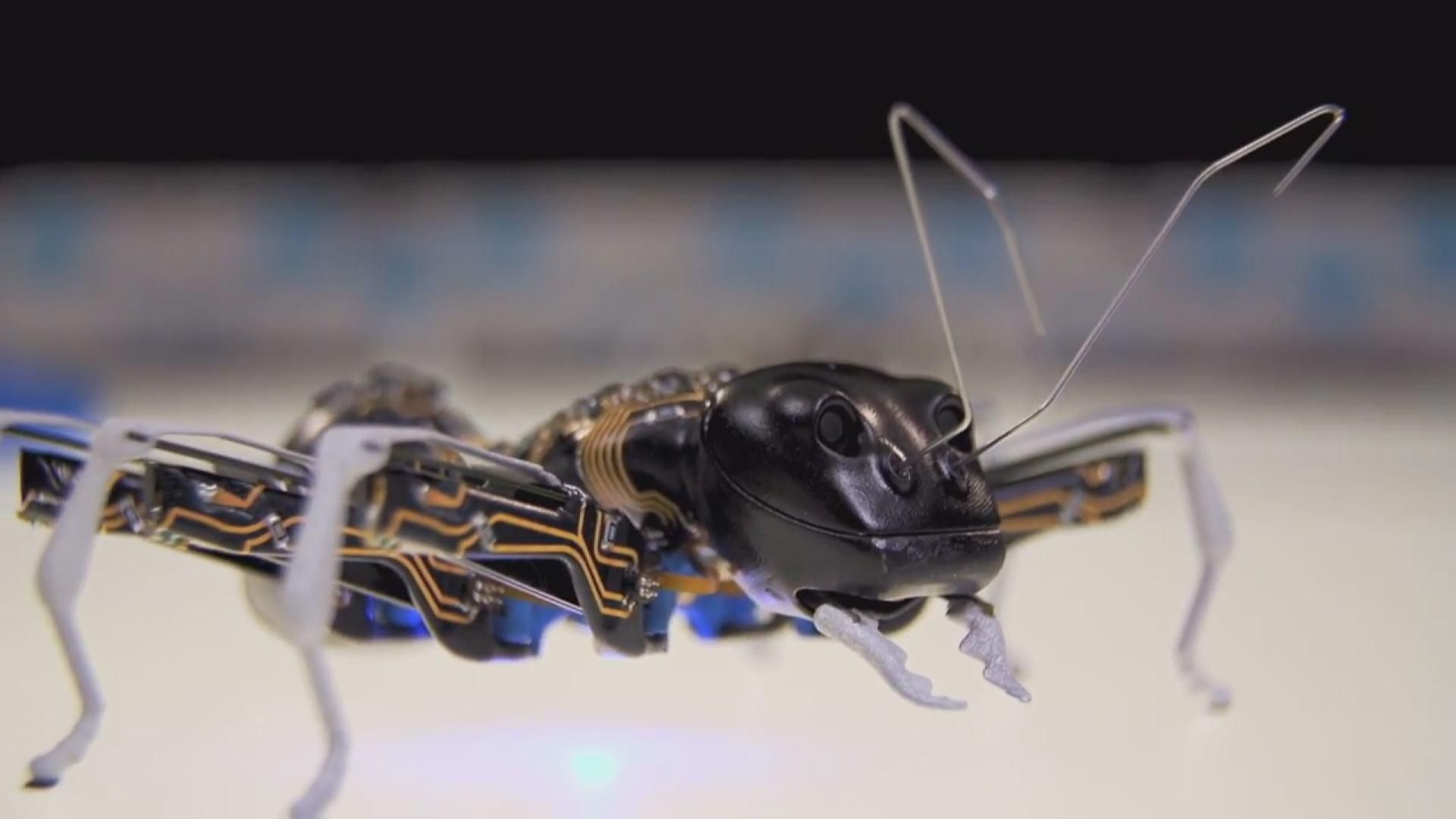 Инновации: спрей сделает велосипедистов более заметными, ученые разработали роботов-бабочек