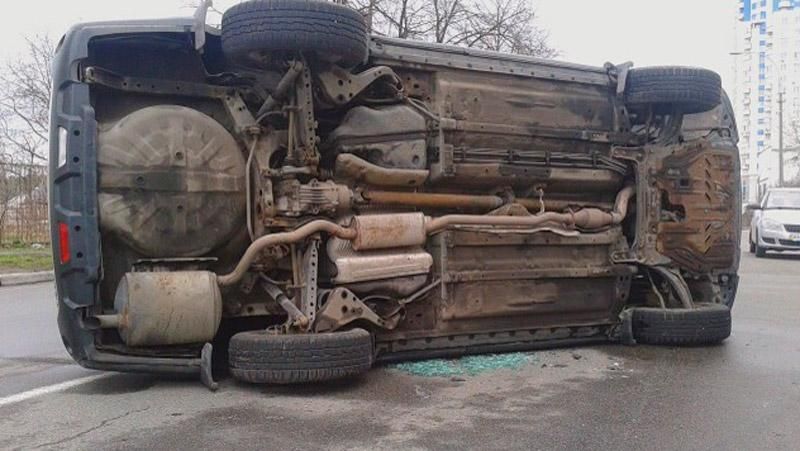 У Києві кіт спричинив серйозну ДТП У Києві кіт спричинив серйозну ДТП