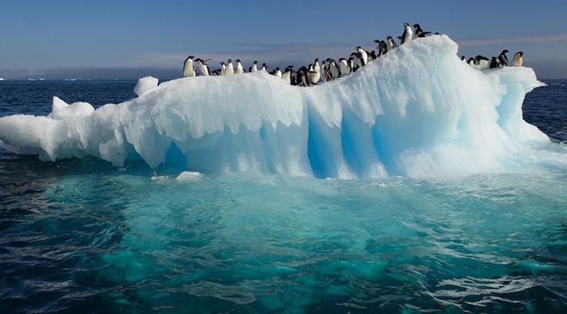 В Антарктиді — рекордне потепління 