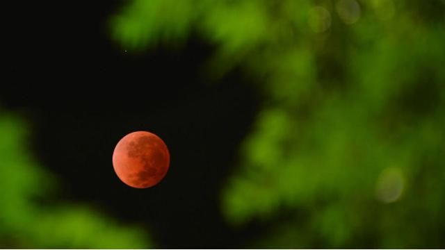 "Луну в крови" земляне увидят 4 апреля
